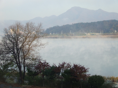 c_20081106_263_393.JPG