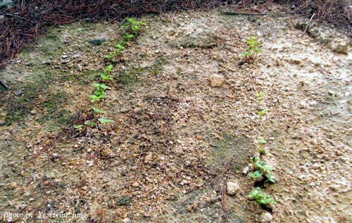 c_20090708_804_1761.jpg